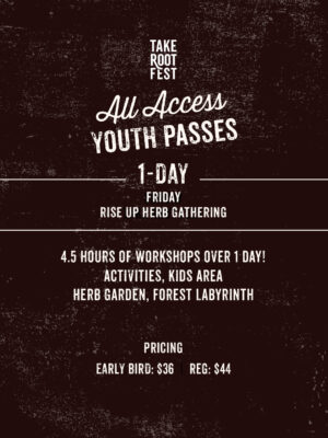 All-Access Friday Youth Pass 2026
